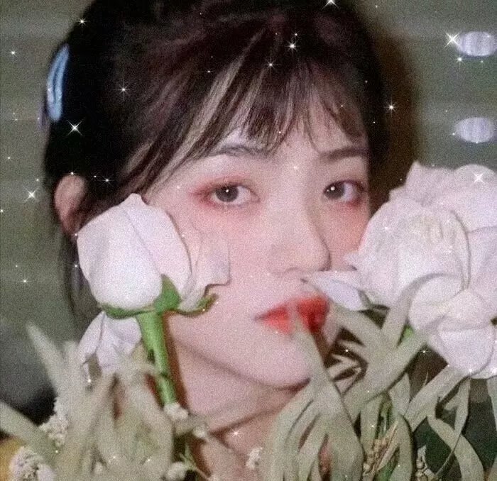 芦苇之歌